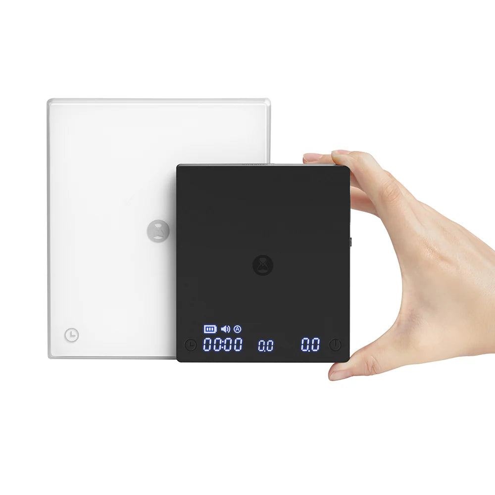 ميزان تايمور ميني