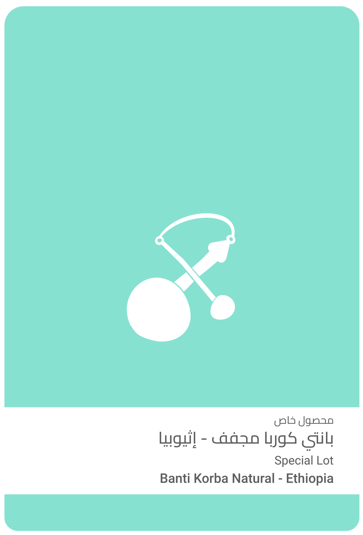 بانتي كوربا مجفف - إثيوبيا