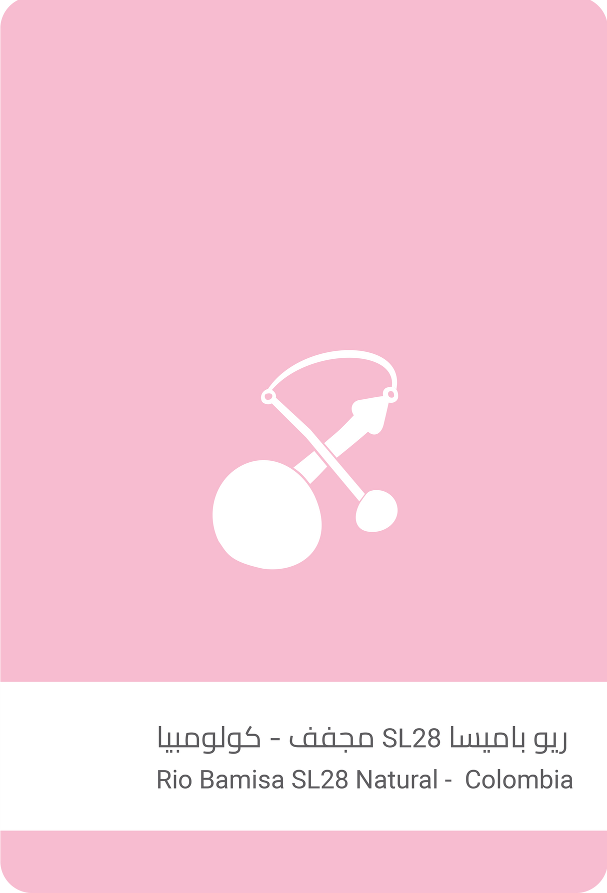 Rio Bamisa SL-28 – Colombia