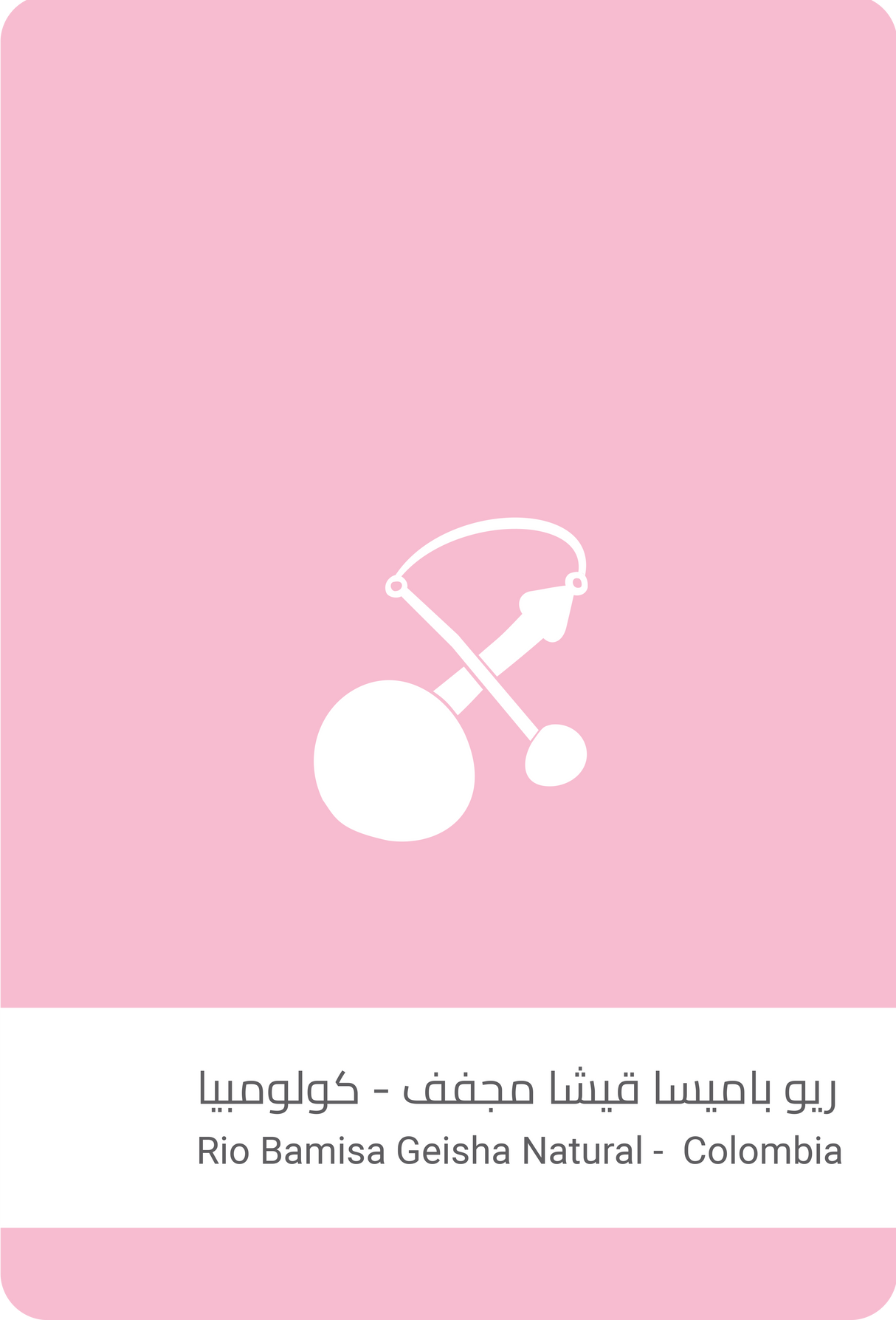 Rio Bamisa Geisha Natural - Colombia