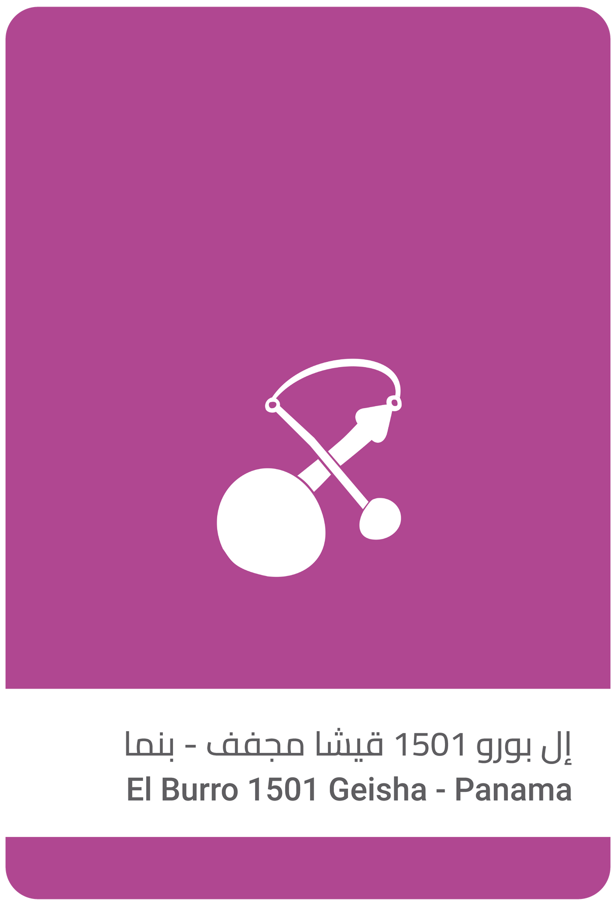البورو 1501 قيشا مجفف - بنما