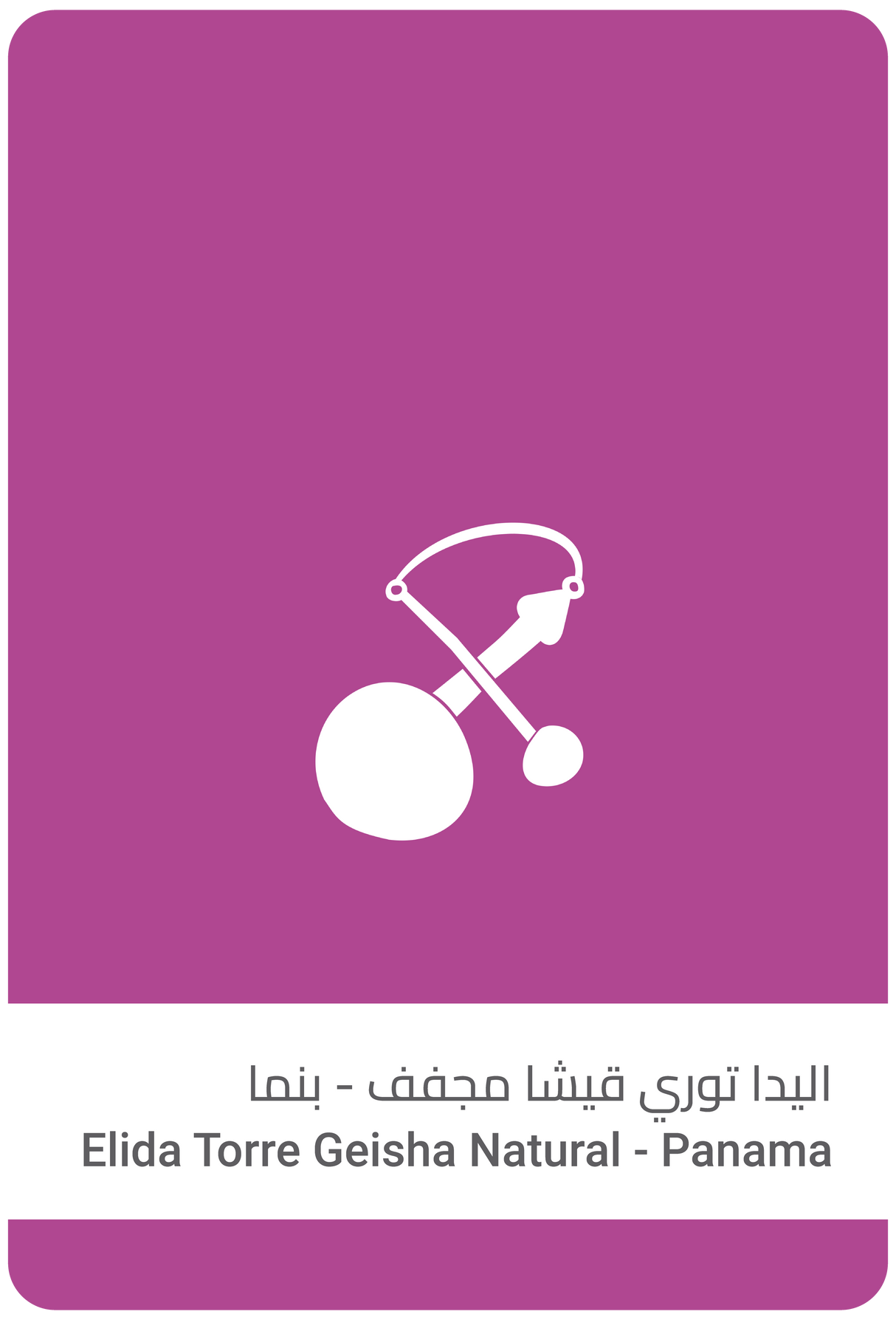 اليدا توري قيشا مجفف - بنما 